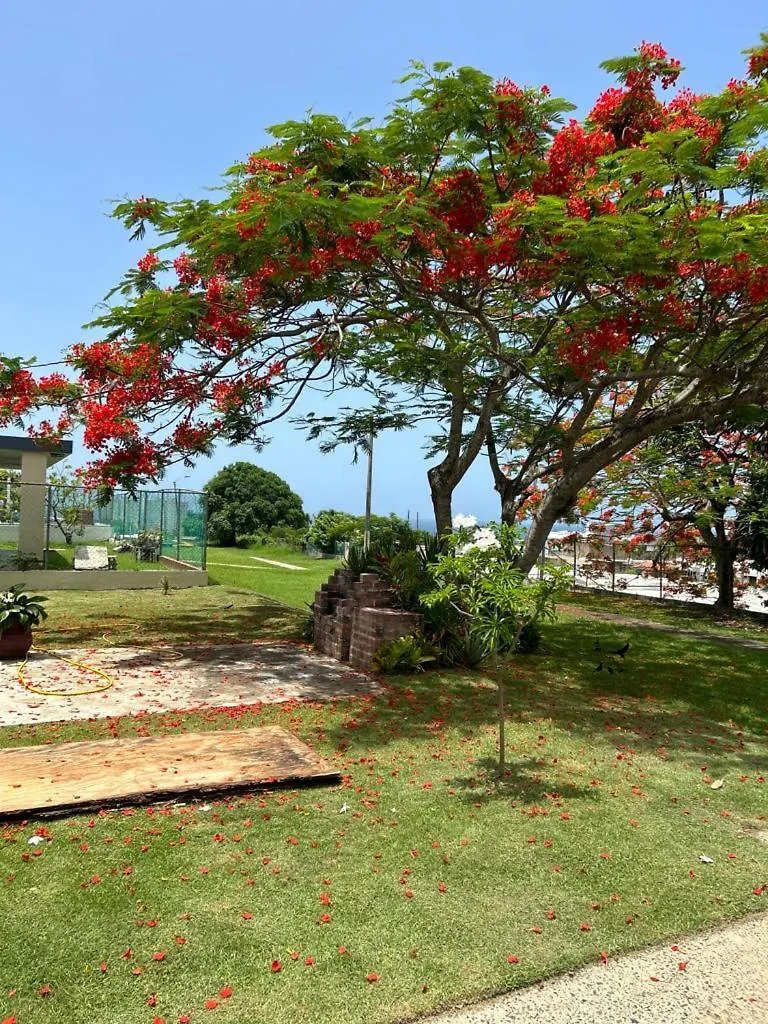 Cozy House With Sea View! Villa Luquillo 0*,  Puerto Rico