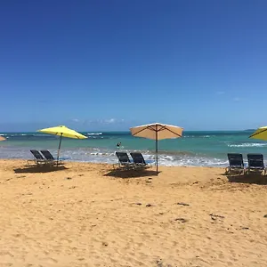 Blue Leaf By The Sea Luquillo